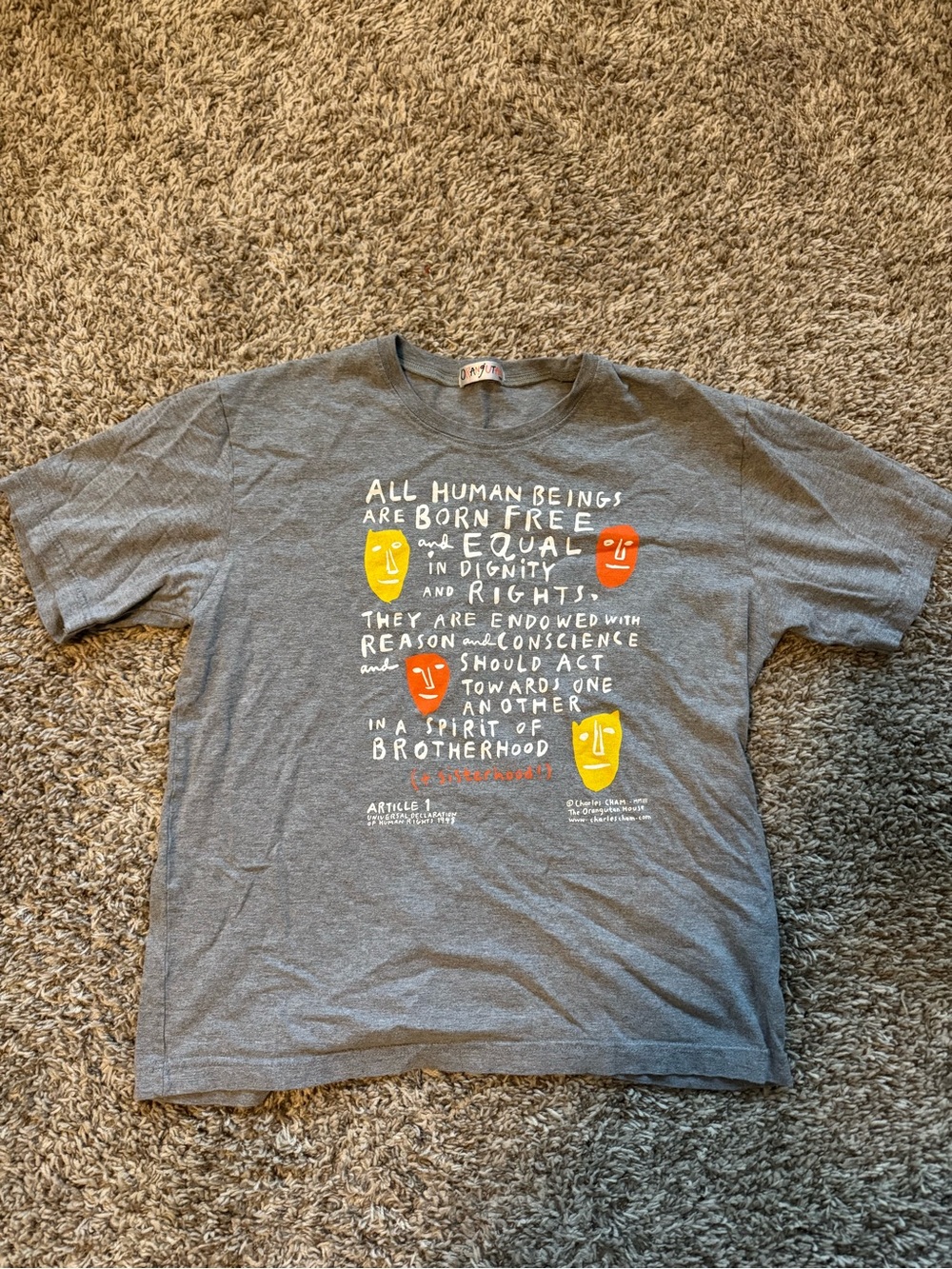 Gray Graphic Tee with Human Rights Quote
